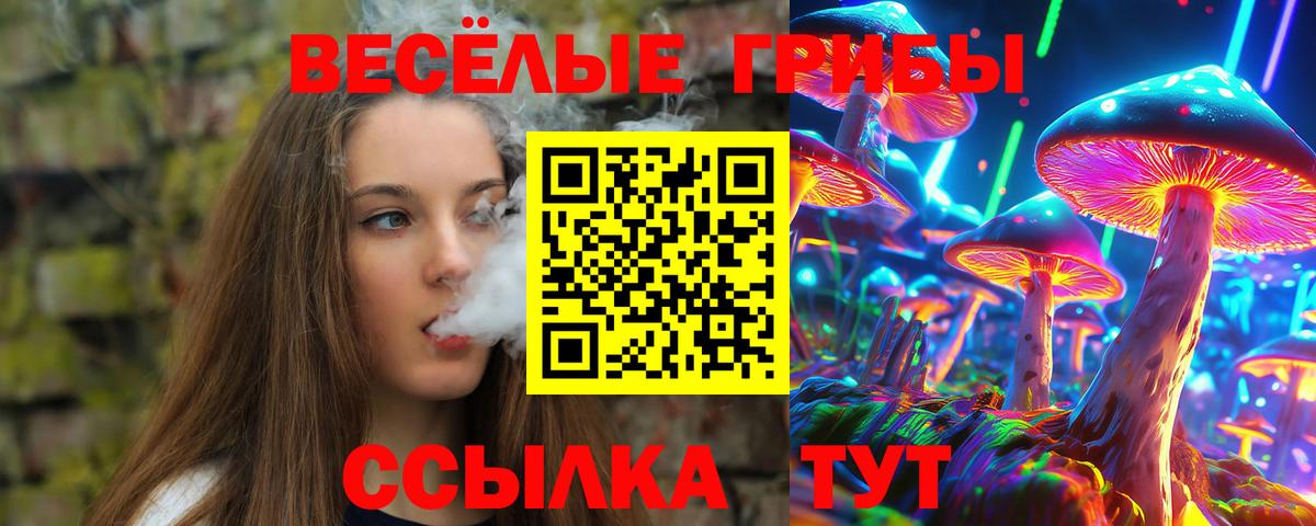 Галлюциногенные грибы Psilocybine cubensis Кизилюрт